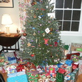 Oh Christmas Tree